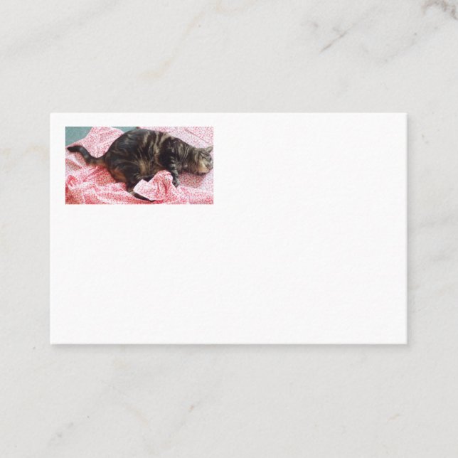 Tailor Dave Business Cards (Front)