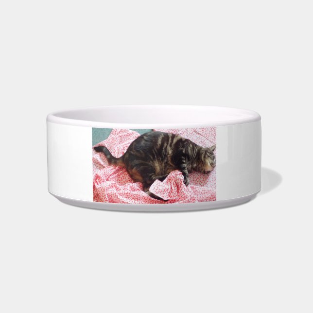 Tailor Dave Ceramic Pet Bowl (Front)