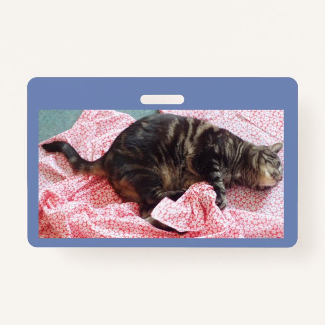 Tailor Dave ID Badge (Front)