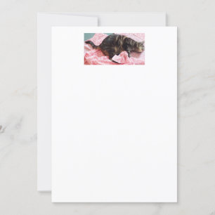 Tailor Dave Invitations