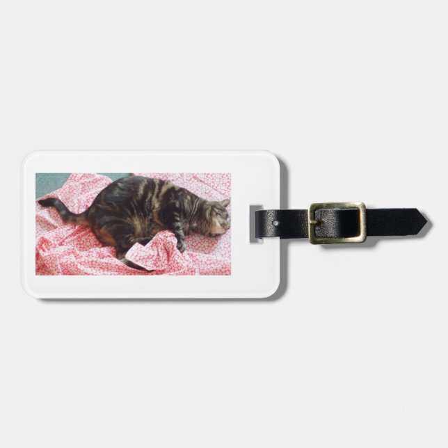 Tailor Dave Luggage Tag (Front Horizontal)