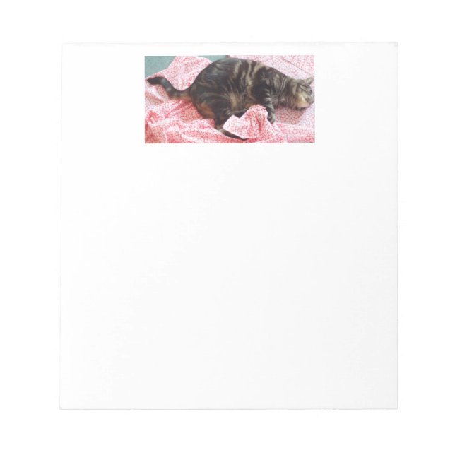 Tailor Dave Notepad (Front)
