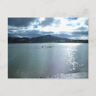 Tairua Harbour Late Afternoon 2010 Postcard