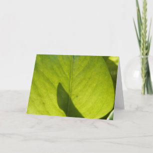 Taiwan Flora Leaf Card