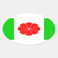 Taiwan independence flag