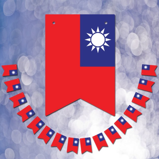 Taiwanese Flag & Party Taiwan Banners / Weddings (Creator Uploaded)