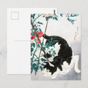 Takahashi Cat with Tomato Plant Japanese Art Postcard