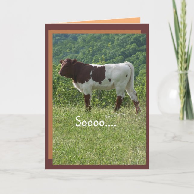 TakaraBday 2 -customise- any occasion Card (Front)