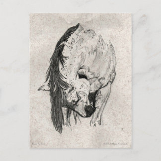 Take A Bow by Mary Gubisch Postcard