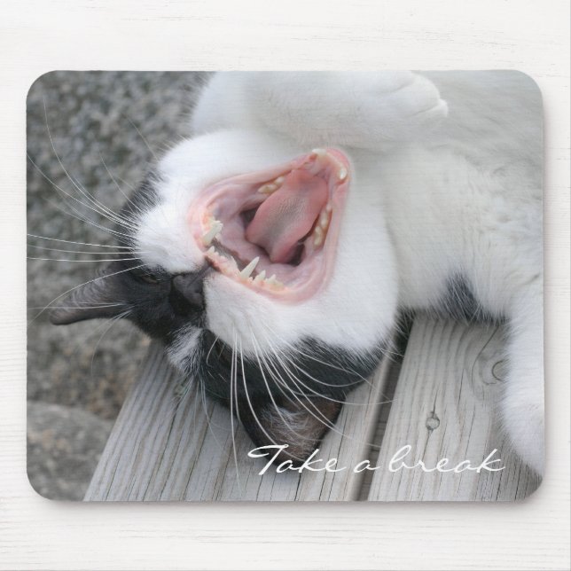 Take a break CC0075 Mouse Pad (Front)