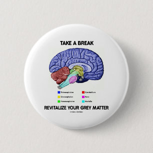 Take A Break Revitalise Your Grey Matter (Brain) 6 Cm Round Badge