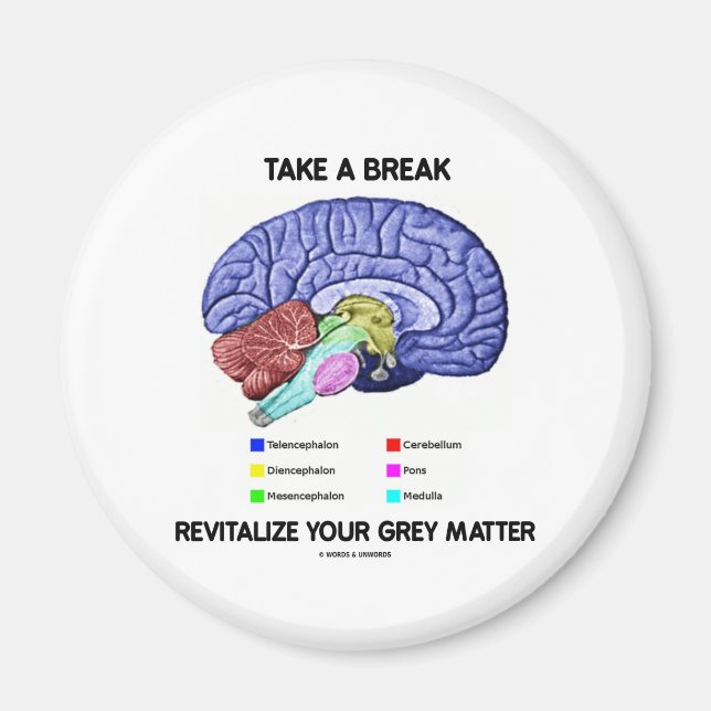 Take A Break Revitalise Your Grey Matter (Brain) Magnet (Front)