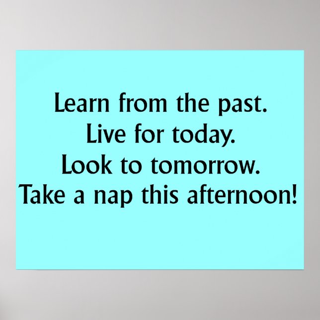 Take A Nap Funny Poster (Front)