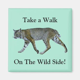 Take A Walk On The Wild Side Bobcat Magnet