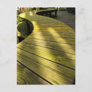 Take a Walk Postcard