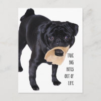 Take big bites out of life