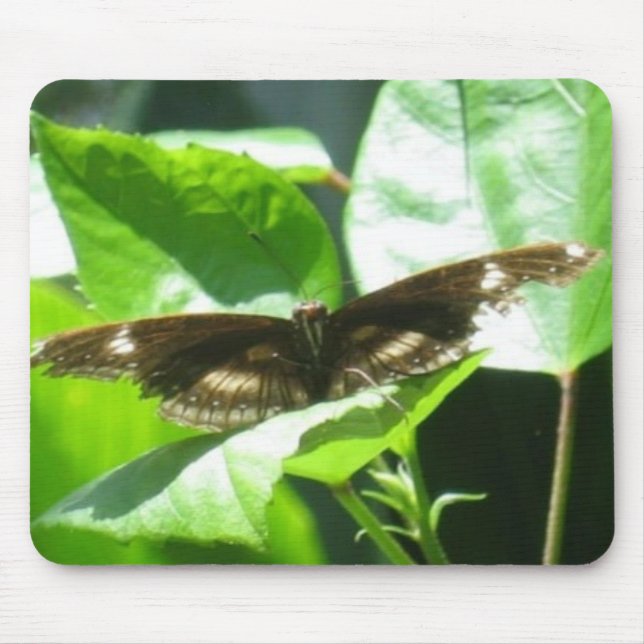 Take Flight Mouse Pad (Front)