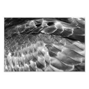 Take Flight Photo Print