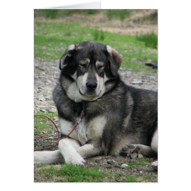 Take it Easy! (Front)