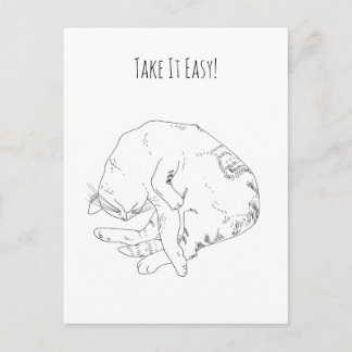 Take It Easy — Minimalist Sleeping Cat Postcard