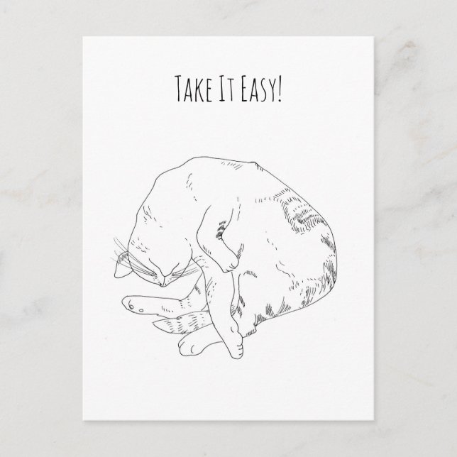 Take It Easy — Minimalist Sleeping Cat Postcard (Front)