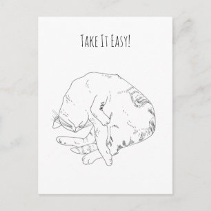 Take It Easy Sleeping Cat Personalised Postcard