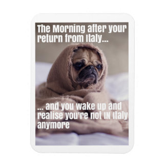 Take Me Back to Italy Magnet