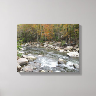 Take Me Out to the Creek Canvas Print