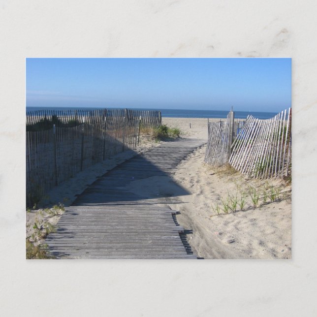 Take Me to the Beach! Postcard (Front)