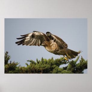 Take Off Poster