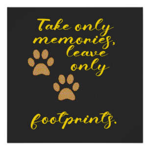 Take only memories, leave only footprints. poster