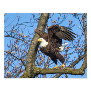 Take The Leap! Photo Print