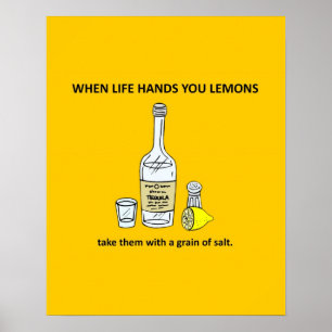 take-them-with-a-grain-of-salt poster
