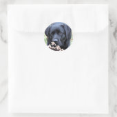 Take Time - Black Lab - Black Labrador Classic Round Sticker (Bag)