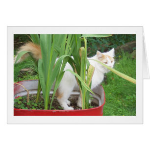 TAKE TIME TO PLAY IT IS "YOUR BIRTHDAY"