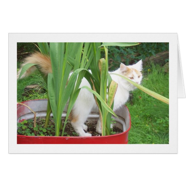 TAKE TIME TO PLAY IT IS "YOUR BIRTHDAY" (Front Horizontal)