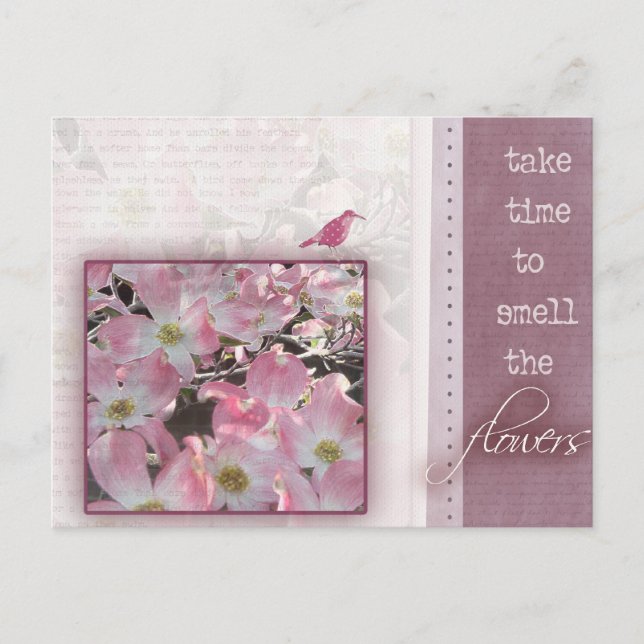 Take time to smell the flowers postcard (Front)