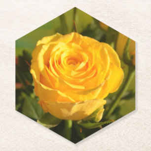 Take time to smell the yellow rose paper coaster
