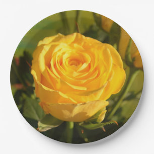 Take time to smell the yellow rose paper plate
