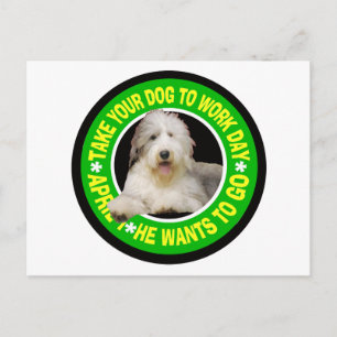 TAKE YOUR BEARDED COLLIE TO WORK DAY POSTCARD