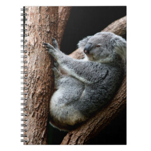 TAKE YOUR TIME NOTEBOOK