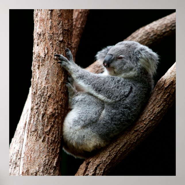 TAKE YOUR TIME POSTER (Front)