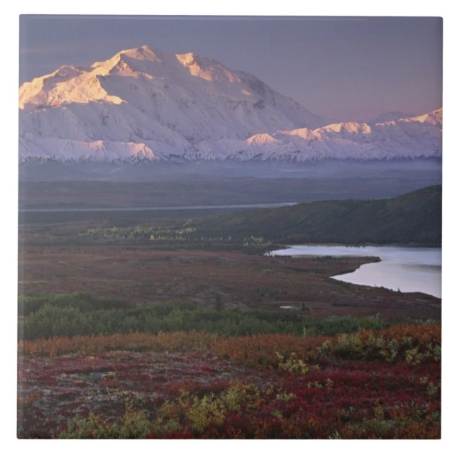 Taken in early September in Denali National Park Tile (Front)