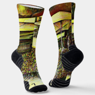 Taken the Possession of Optices Socks