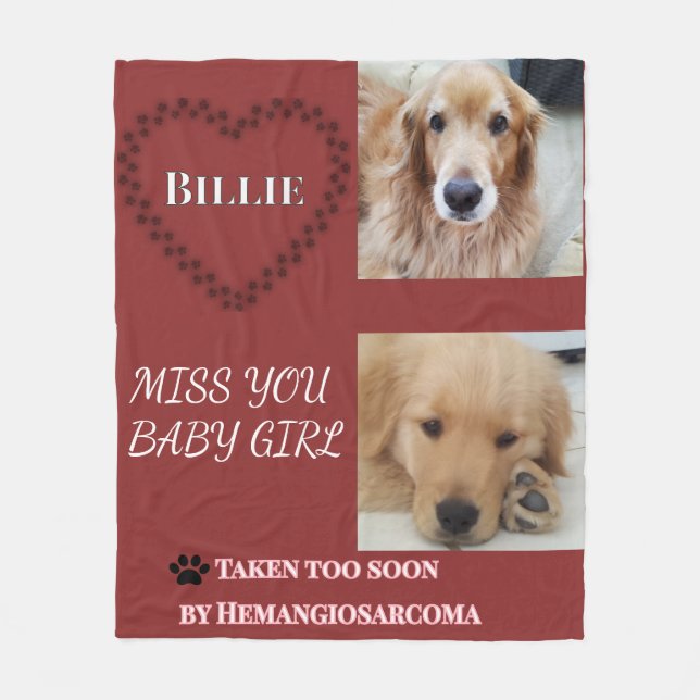 Taken Too Soon - Hemangiosarcoma Tribute Fleece Blanket (Front)