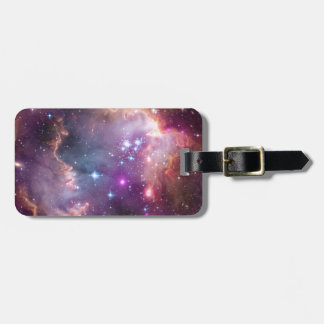 Taken Under the Wing of .. Luggage Tag