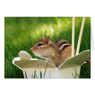 Takeout Loving Chipmunk