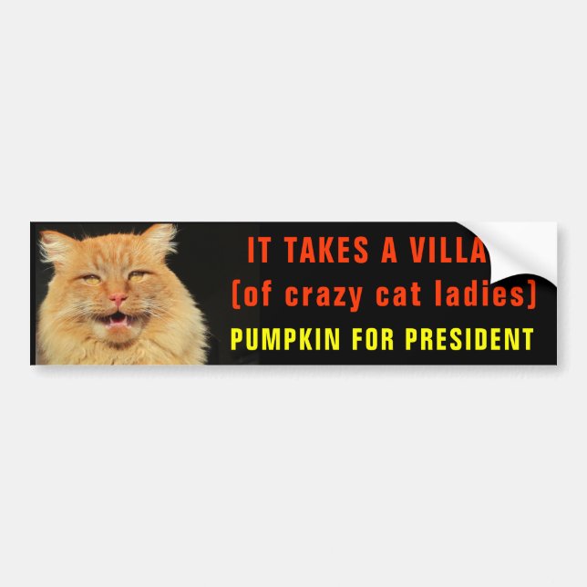 Takes A Village of Crazy Cat Ladies Bumper Sticker (Front)