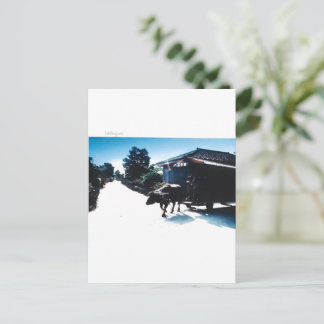 Taketomi Island in Japan Postcard