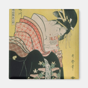Takigawa from the Tea-House, Ogi Magnet